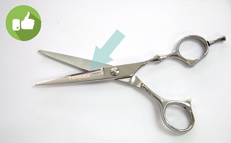 shears termix