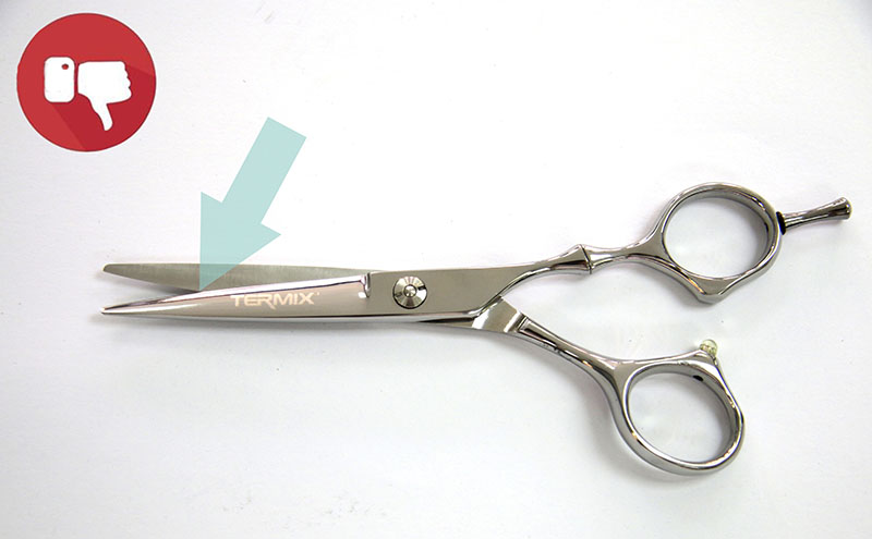 shears termix