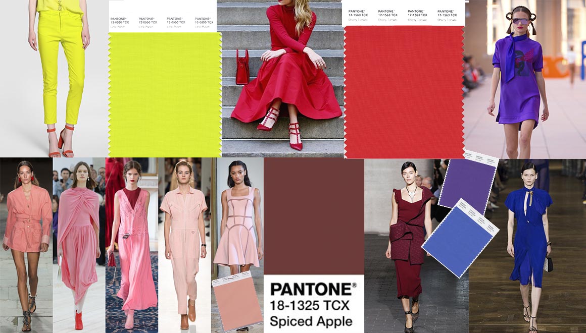 testing colors pantone